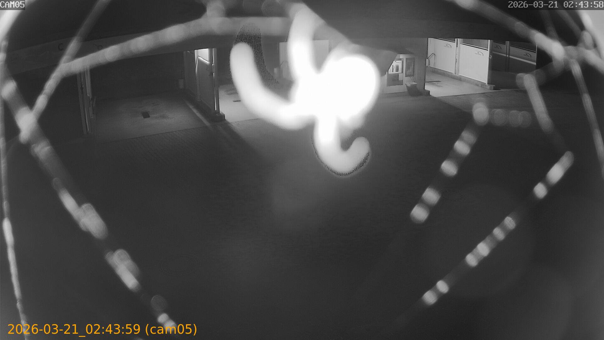 thumbnail_202603210243