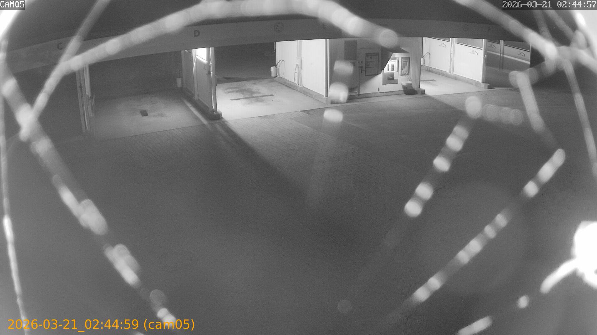 thumbnail_202603210244