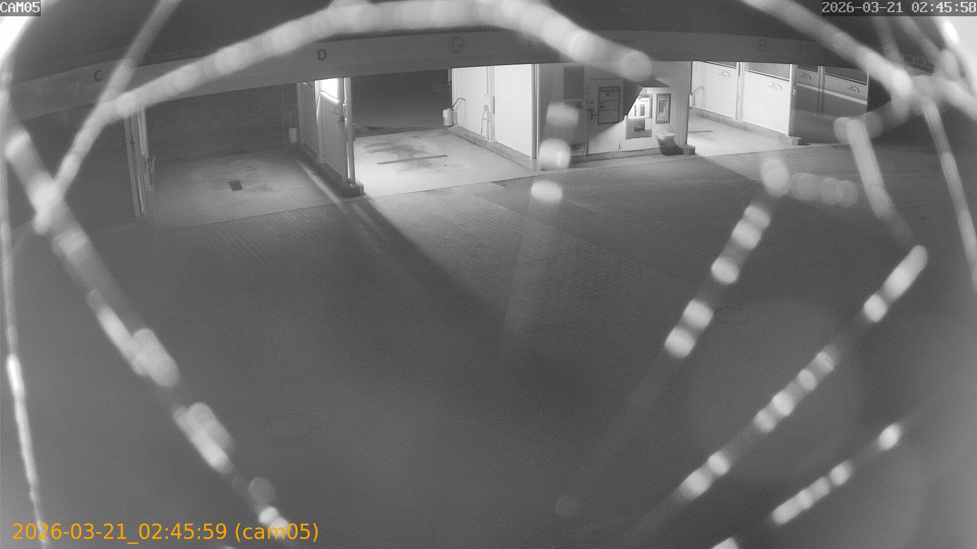 thumbnail_202603210245