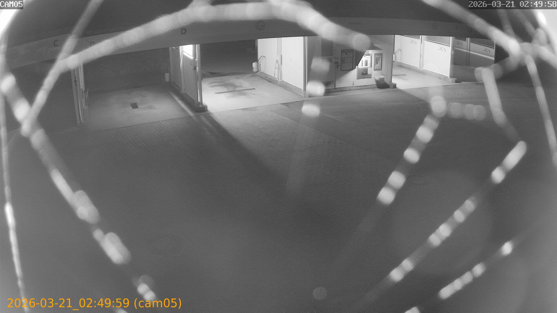 thumbnail_202603210249