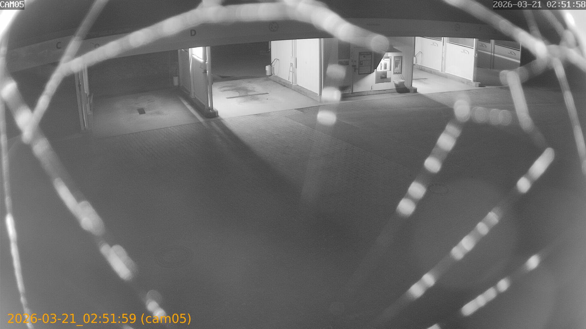 thumbnail_202603210251