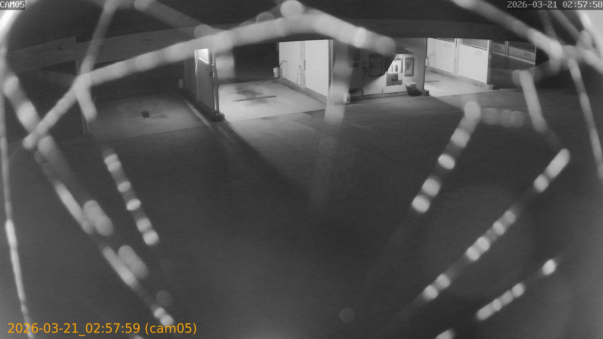 thumbnail_202603210257