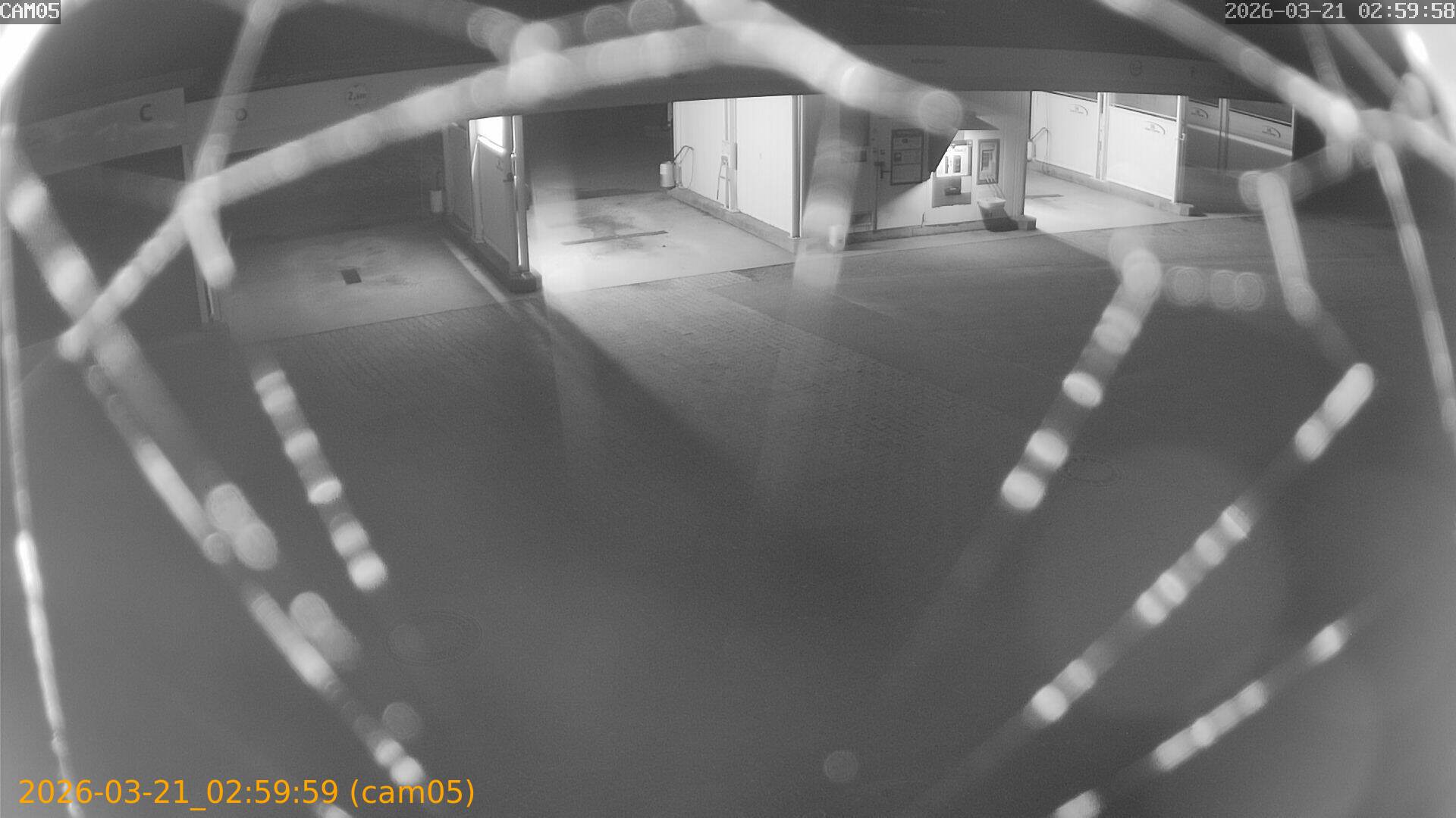 thumbnail_202603210259