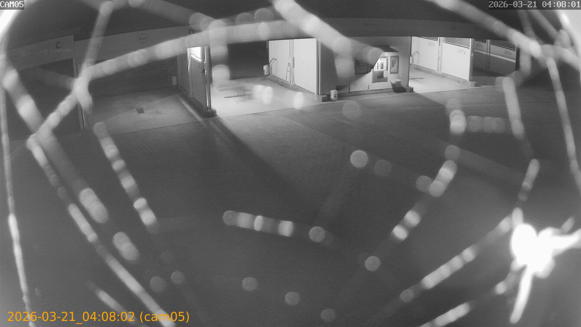 thumbnail_20260321040802