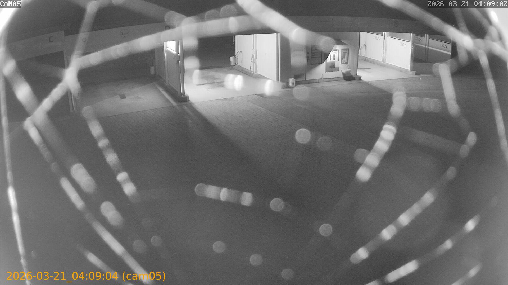 thumbnail_20260321040904