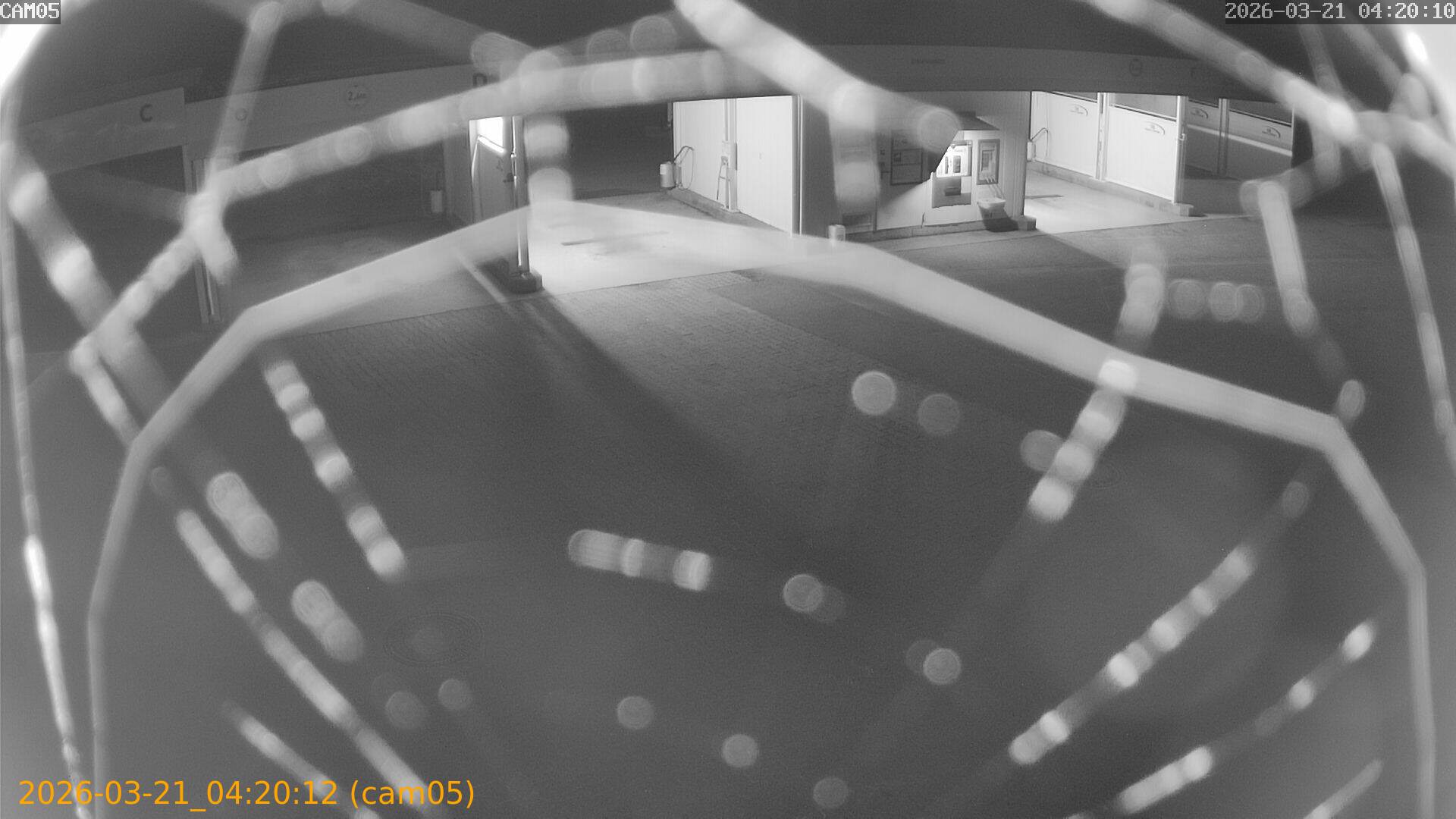 thumbnail_20260321042012