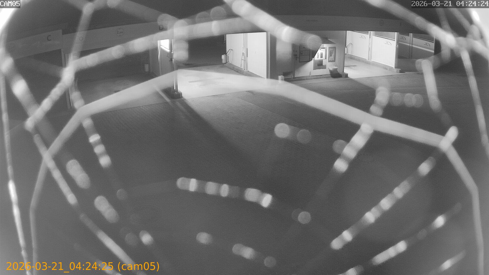 thumbnail_20260321042425