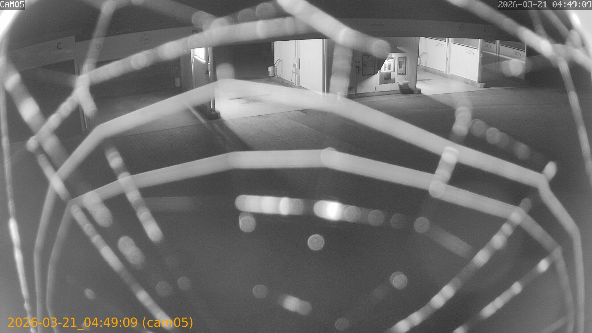 thumbnail_20260321044909