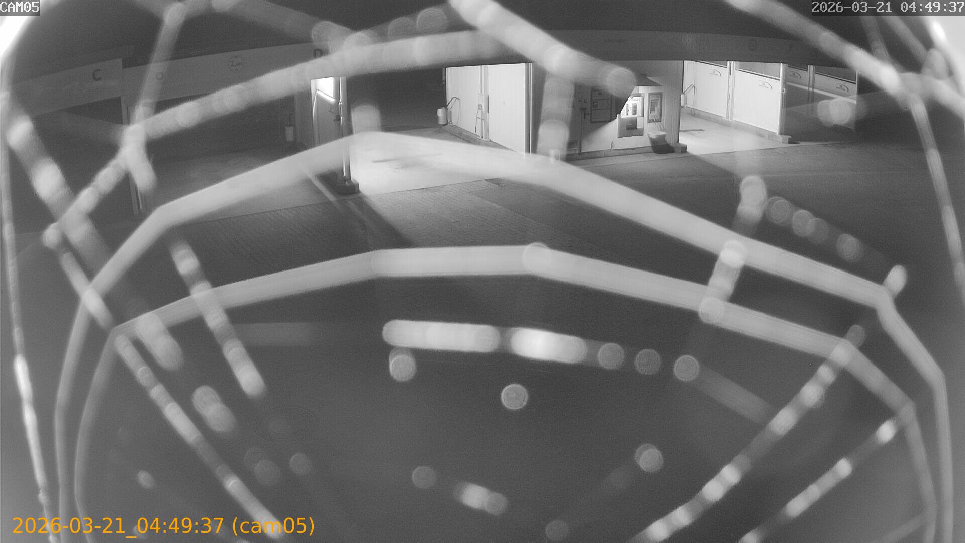 thumbnail_20260321044937