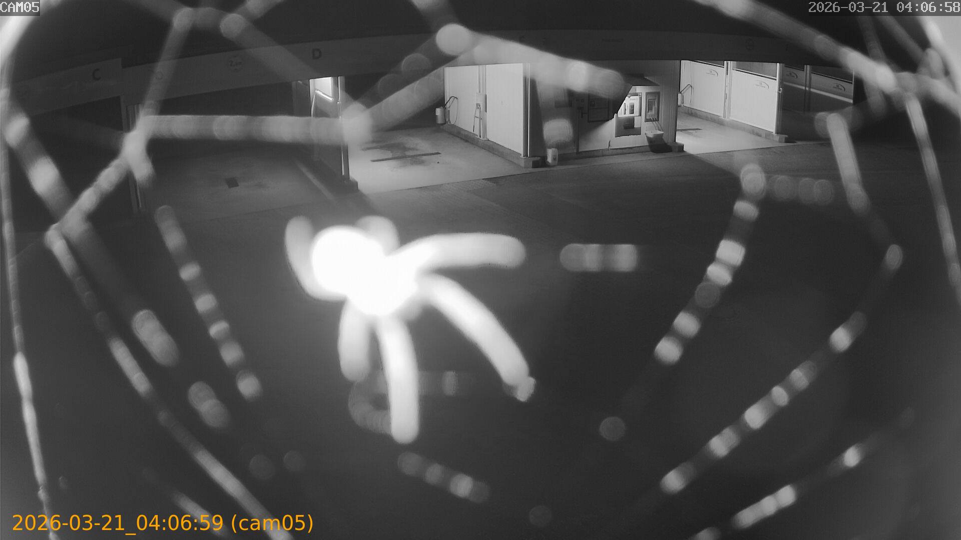 thumbnail_202603210406