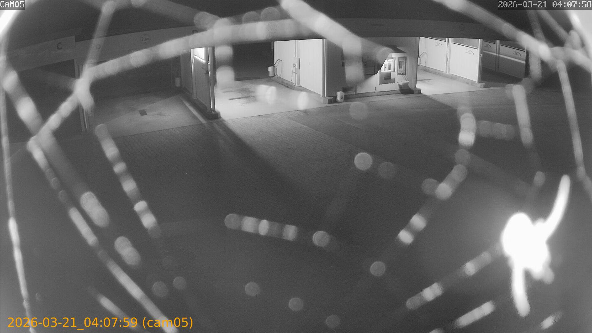 thumbnail_202603210407