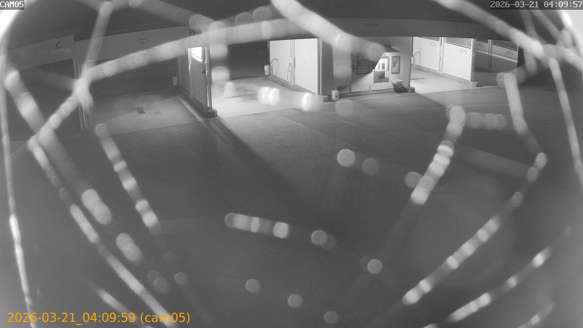 thumbnail_202603210409