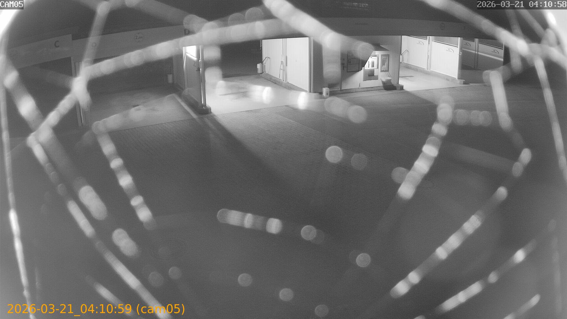 thumbnail_202603210410