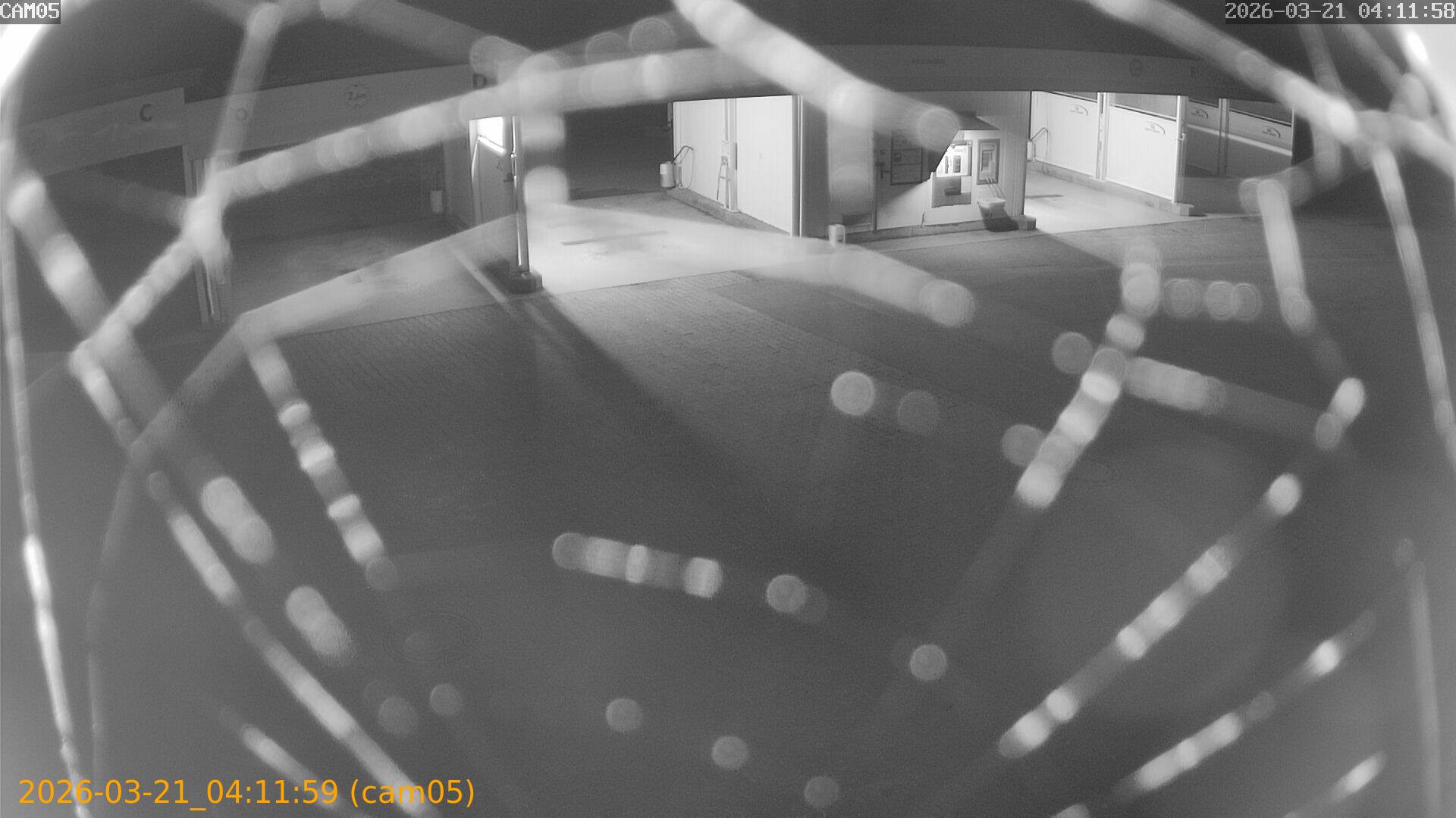 thumbnail_202603210411