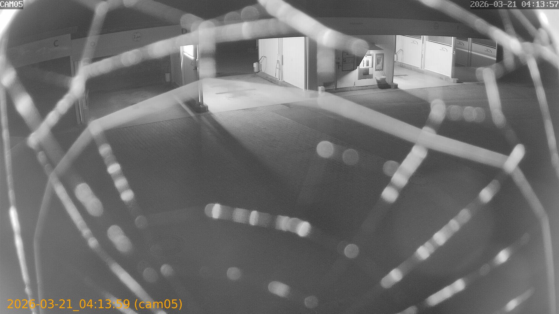 thumbnail_202603210413