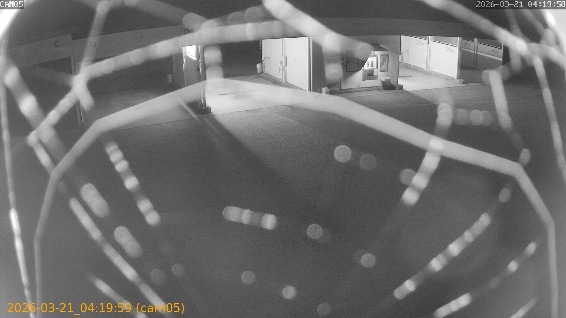 thumbnail_202603210419