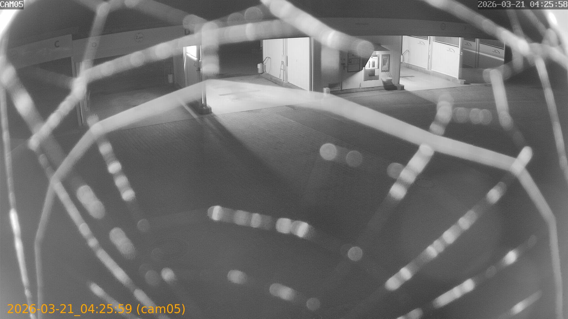 thumbnail_202603210425