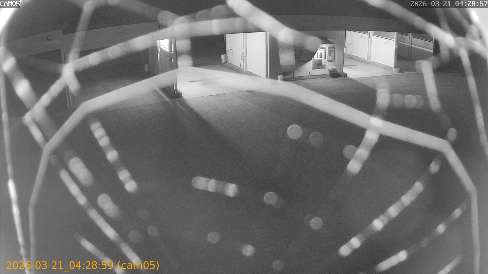 thumbnail_202603210428