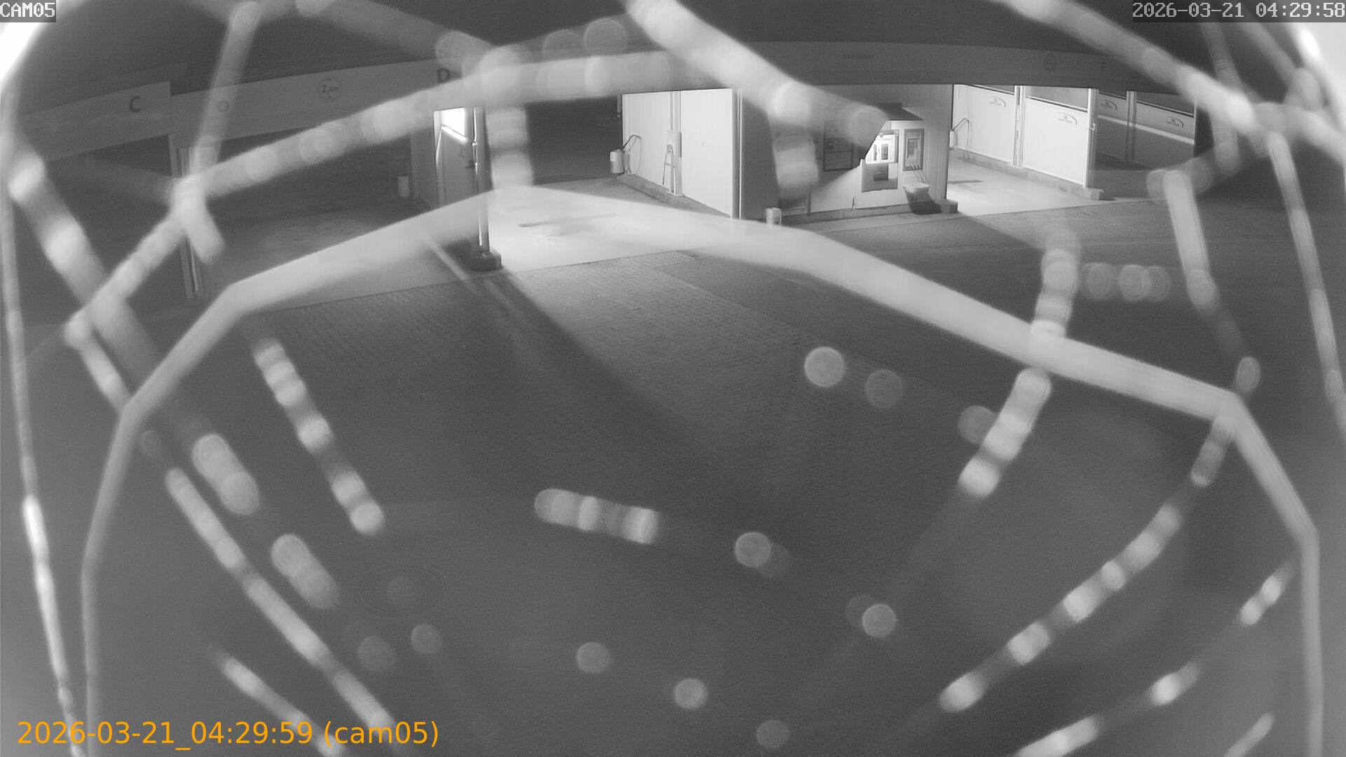 thumbnail_202603210429