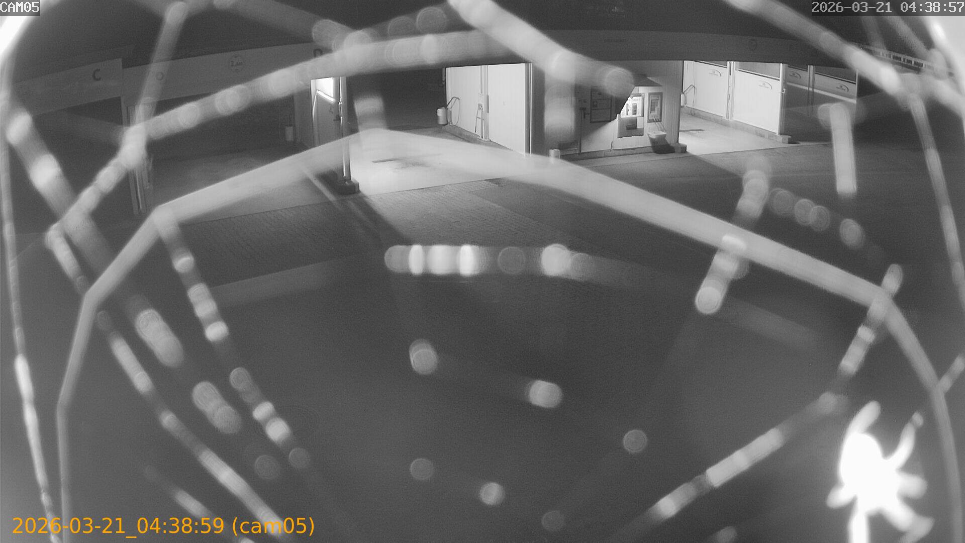 thumbnail_202603210438