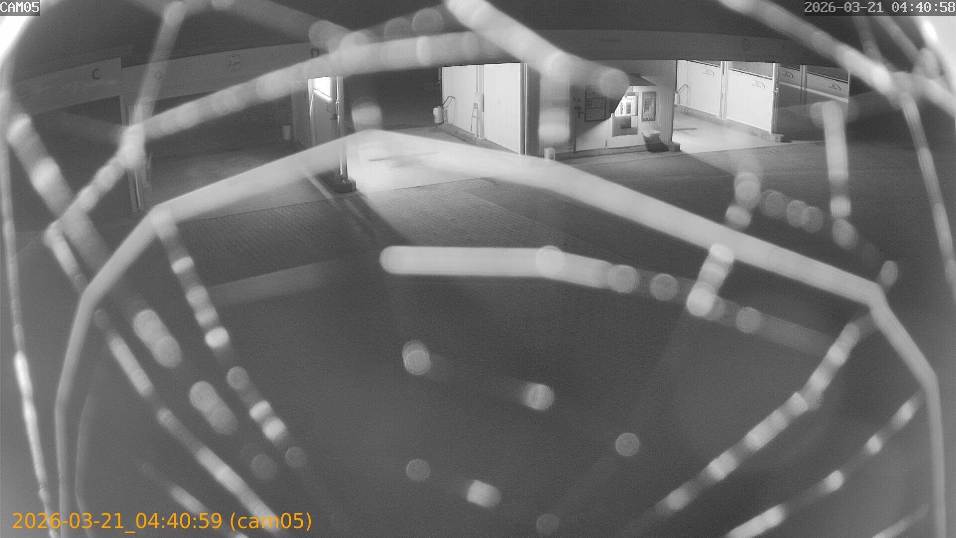 thumbnail_202603210440