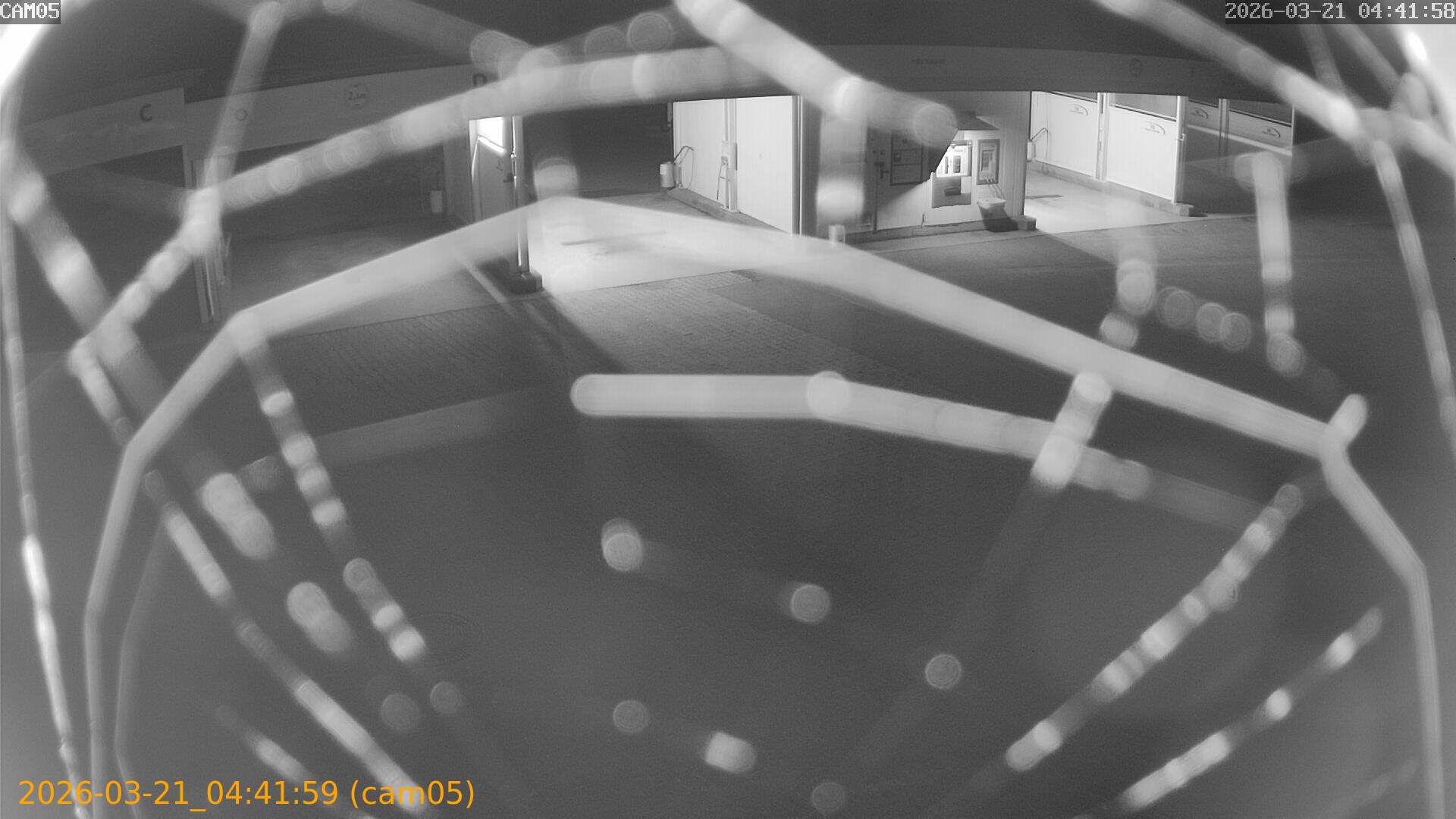 thumbnail_202603210441