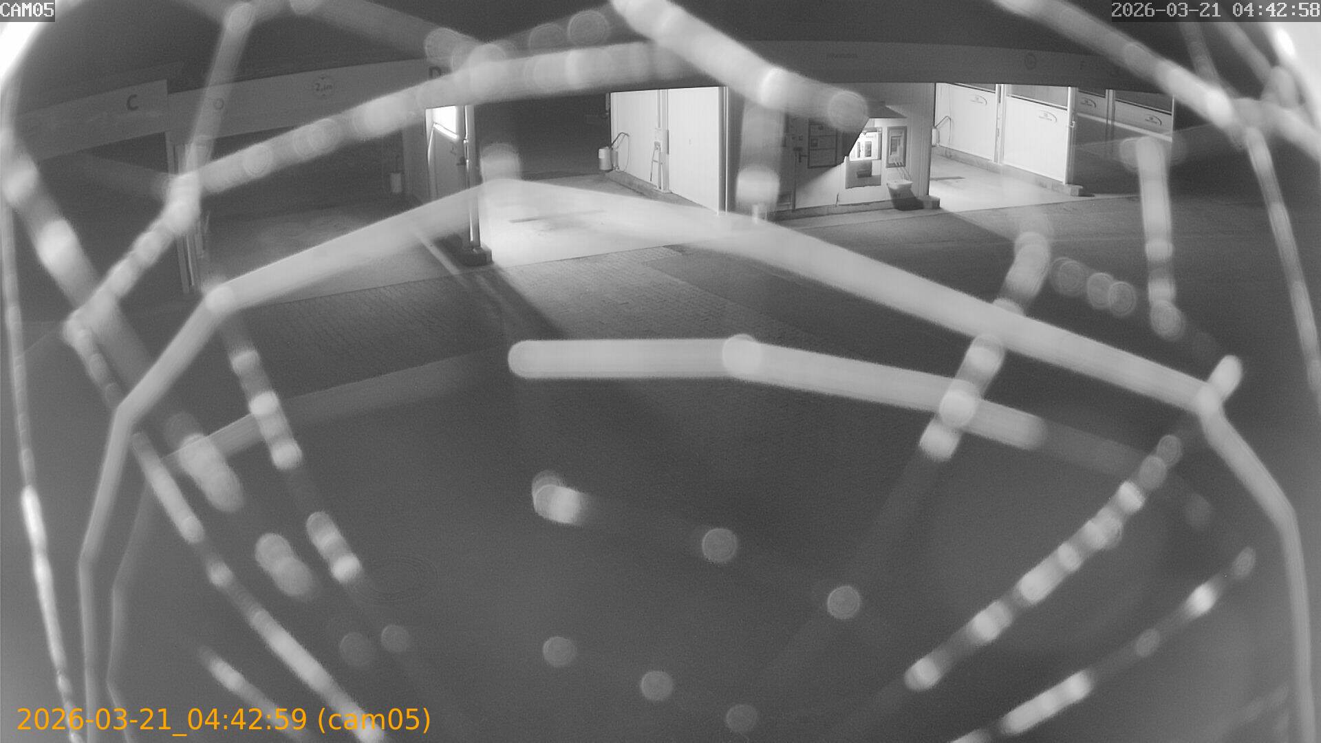 thumbnail_202603210442