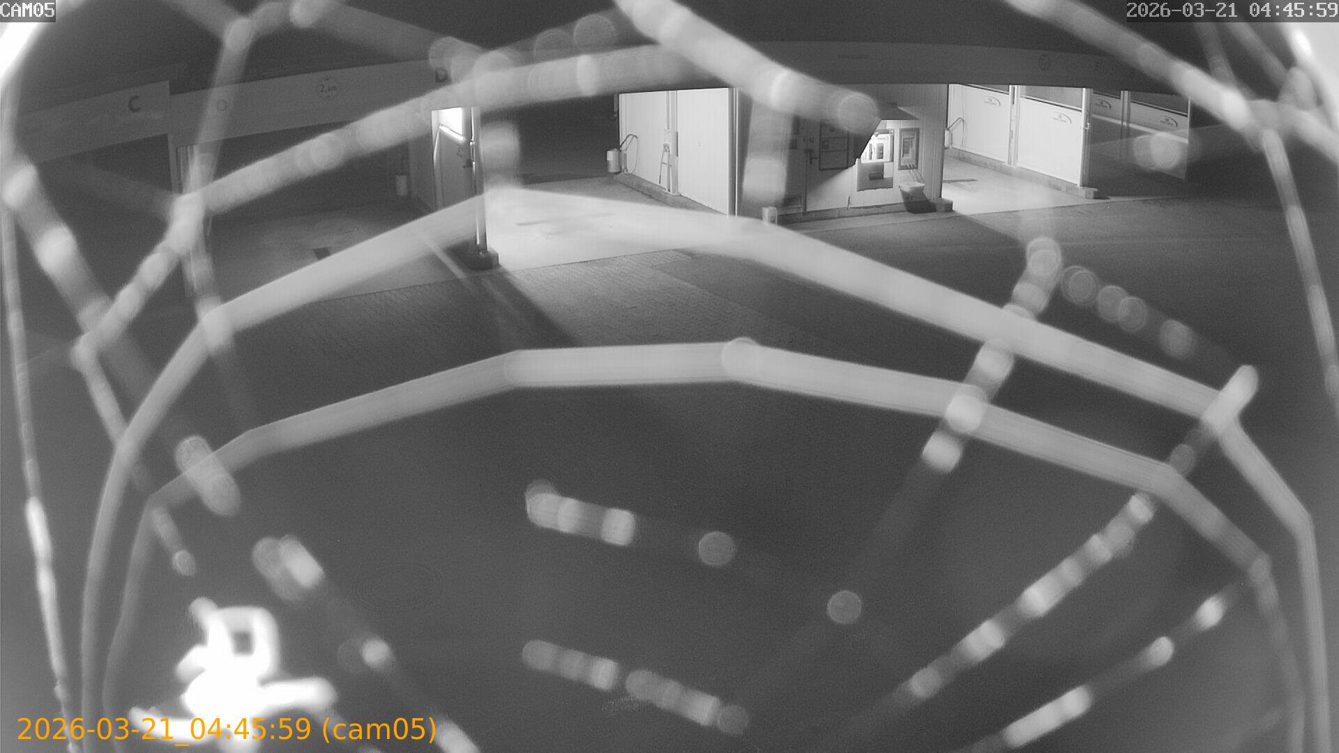 thumbnail_202603210445