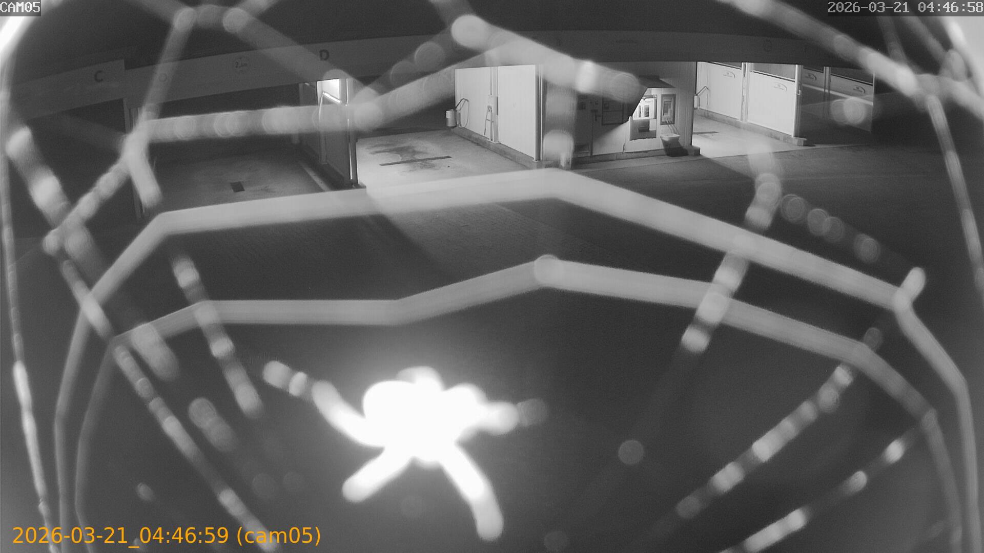 thumbnail_202603210446