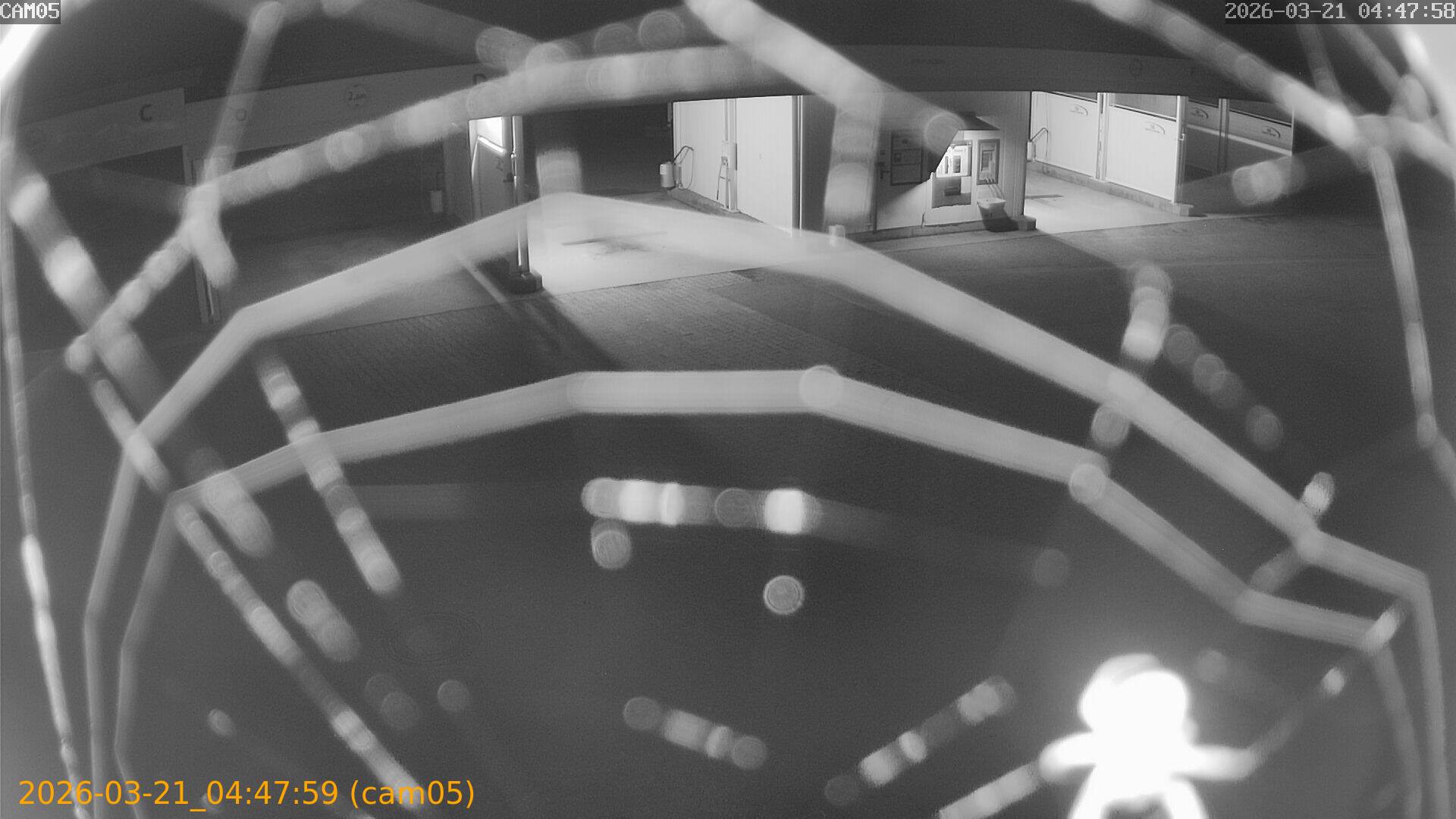 thumbnail_202603210447