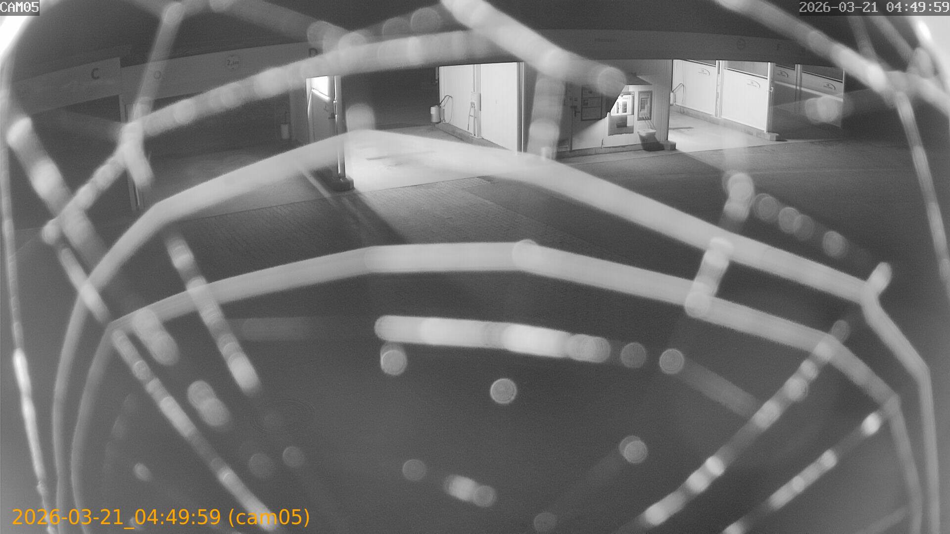 thumbnail_202603210449