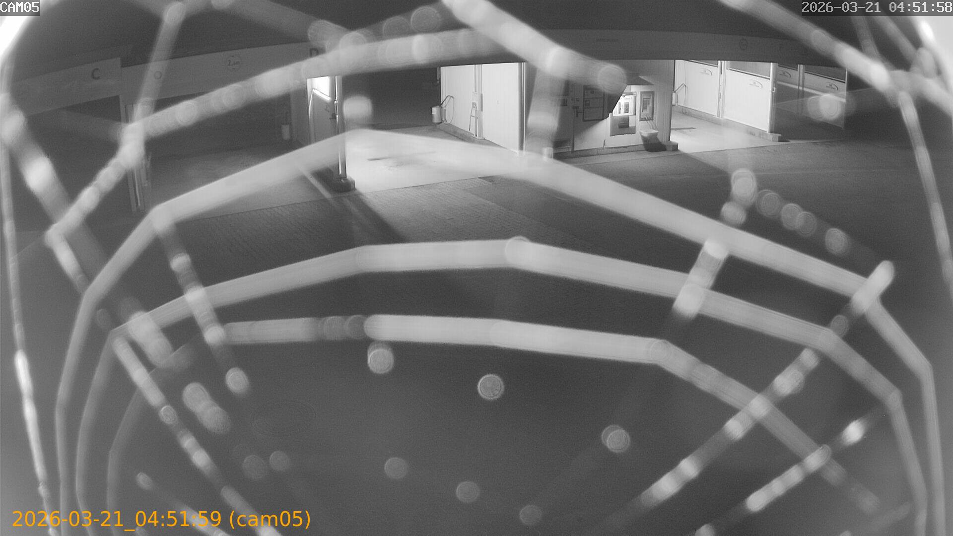 thumbnail_202603210451