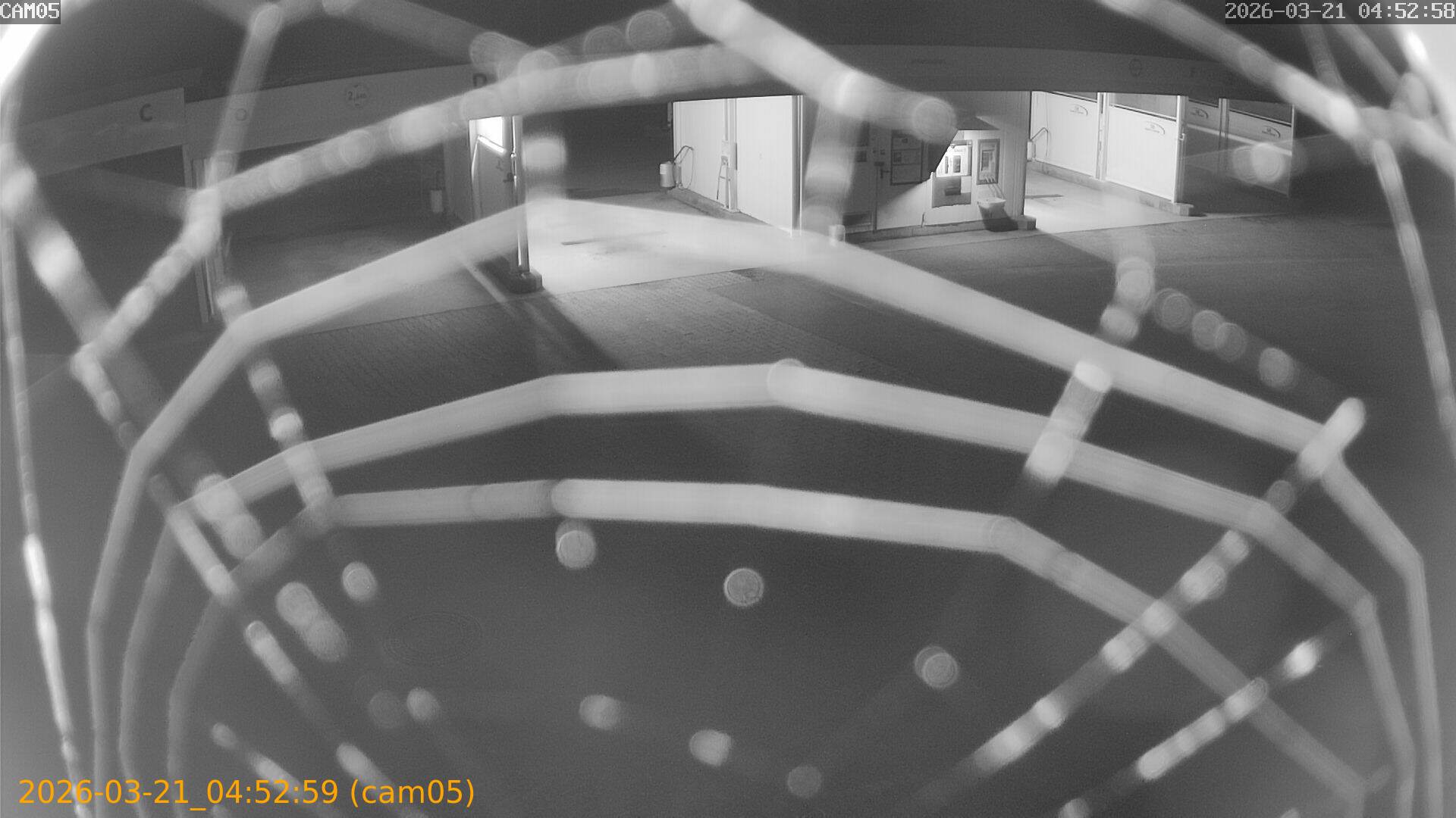 thumbnail_202603210452