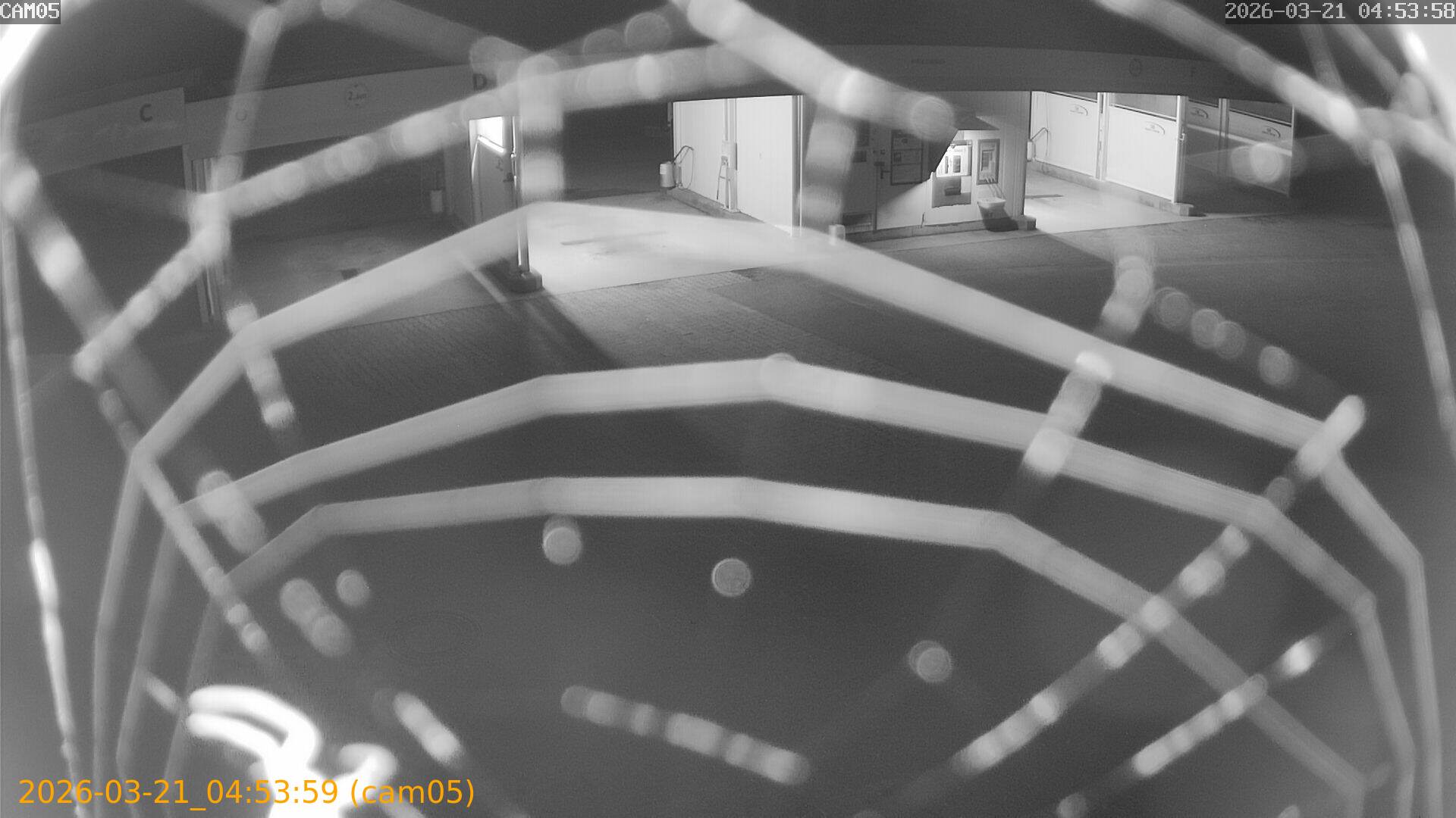 thumbnail_202603210453