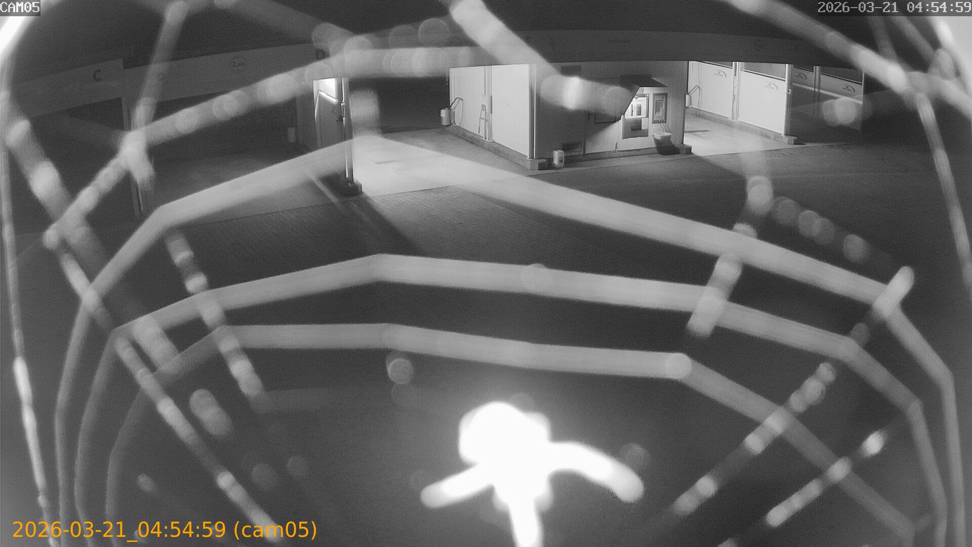 thumbnail_202603210454