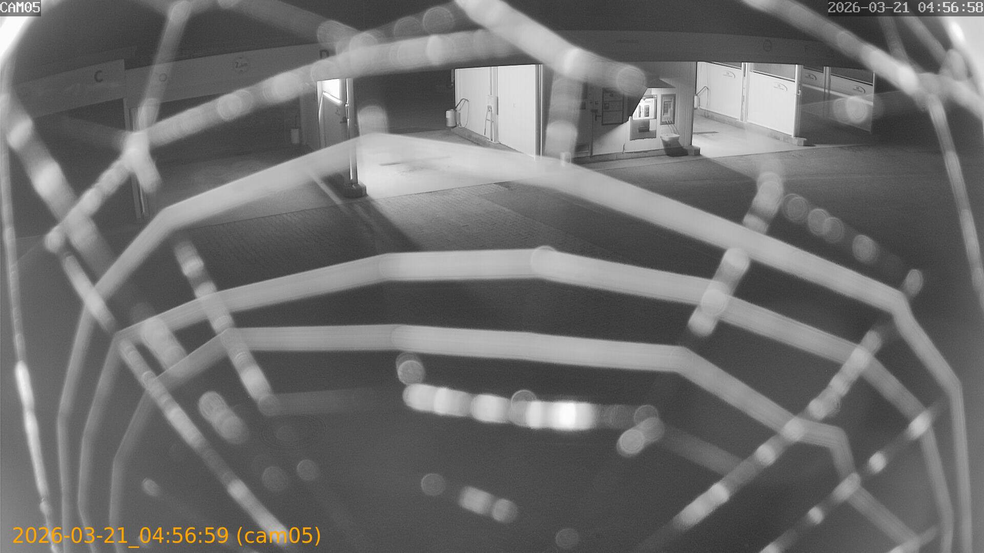 thumbnail_202603210456