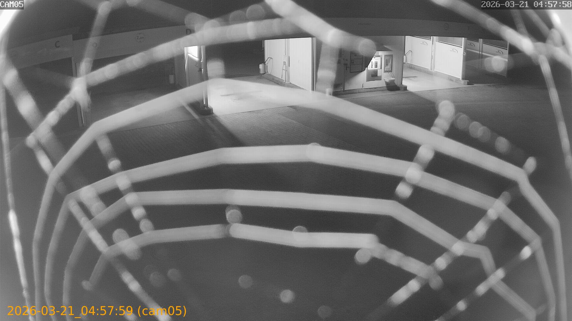 thumbnail_202603210457