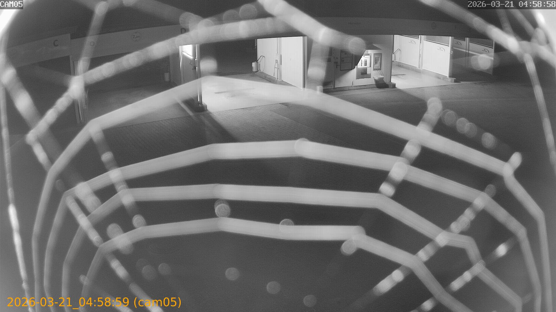 thumbnail_202603210458