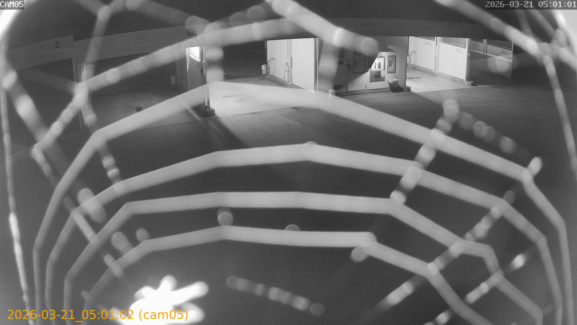 thumbnail_20260321050102