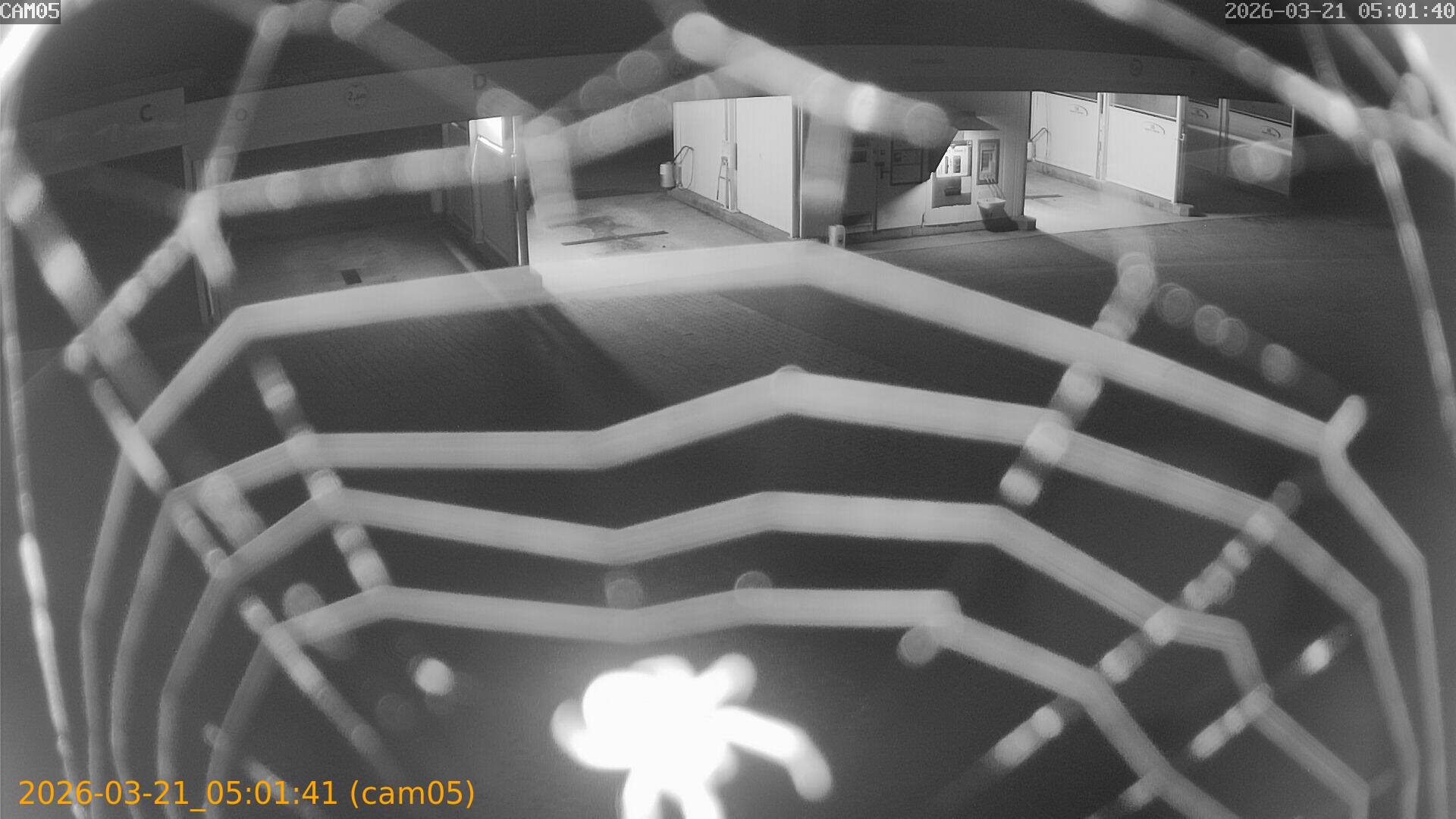 thumbnail_20260321050141