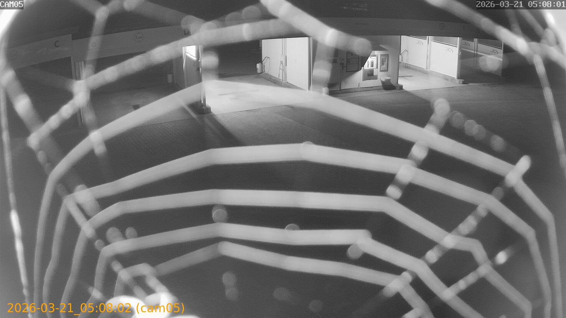 thumbnail_20260321050802