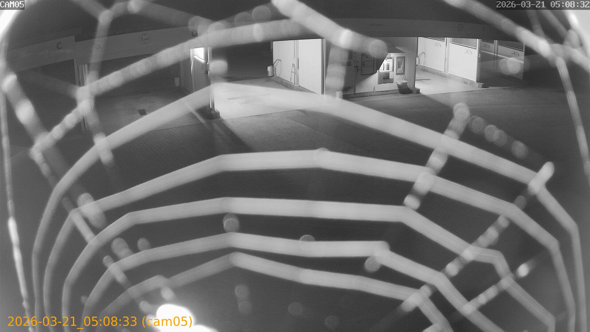 thumbnail_20260321050833