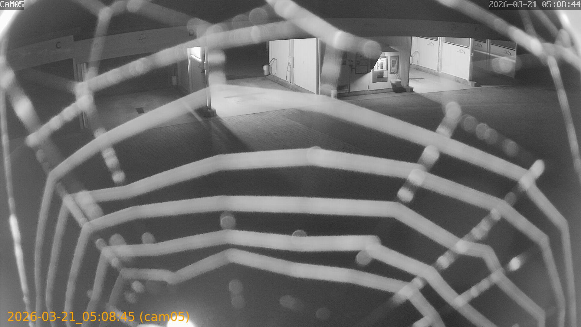 thumbnail_20260321050845