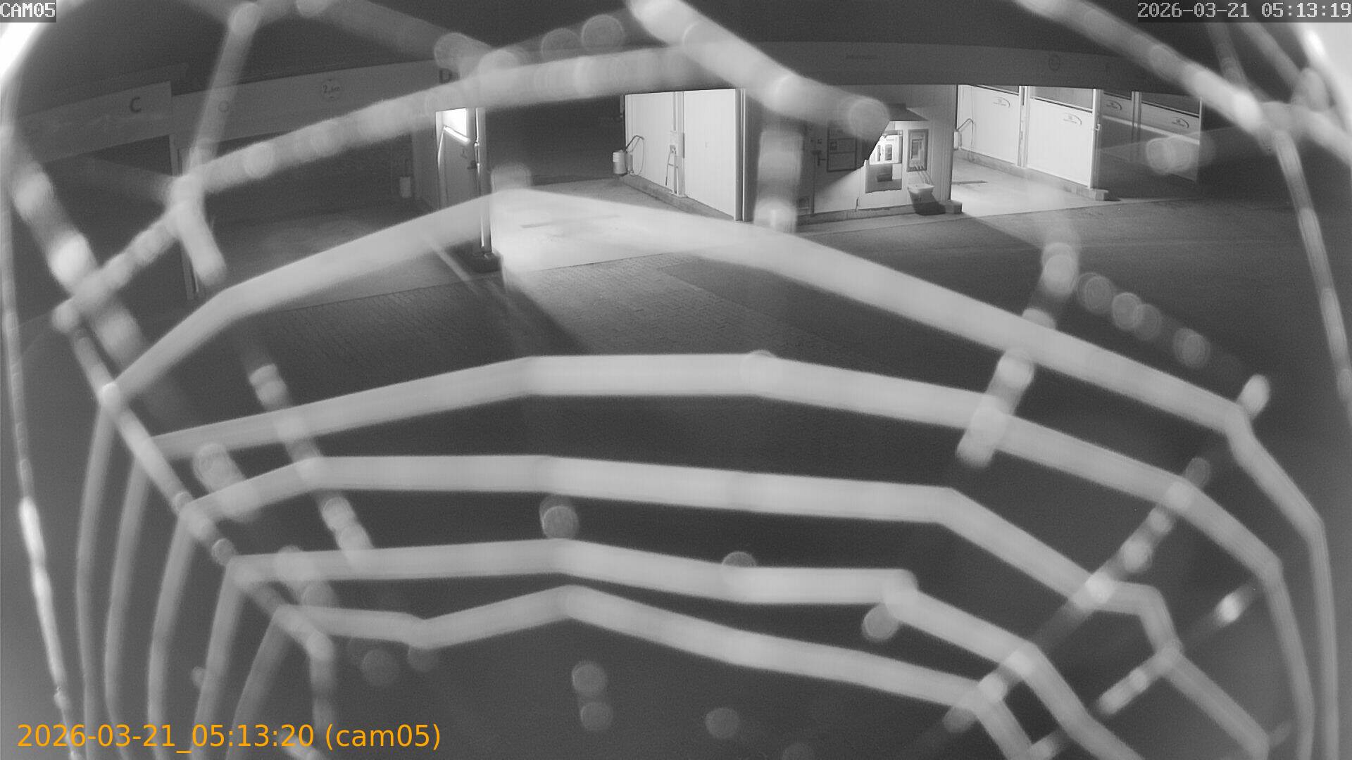 thumbnail_20260321051320