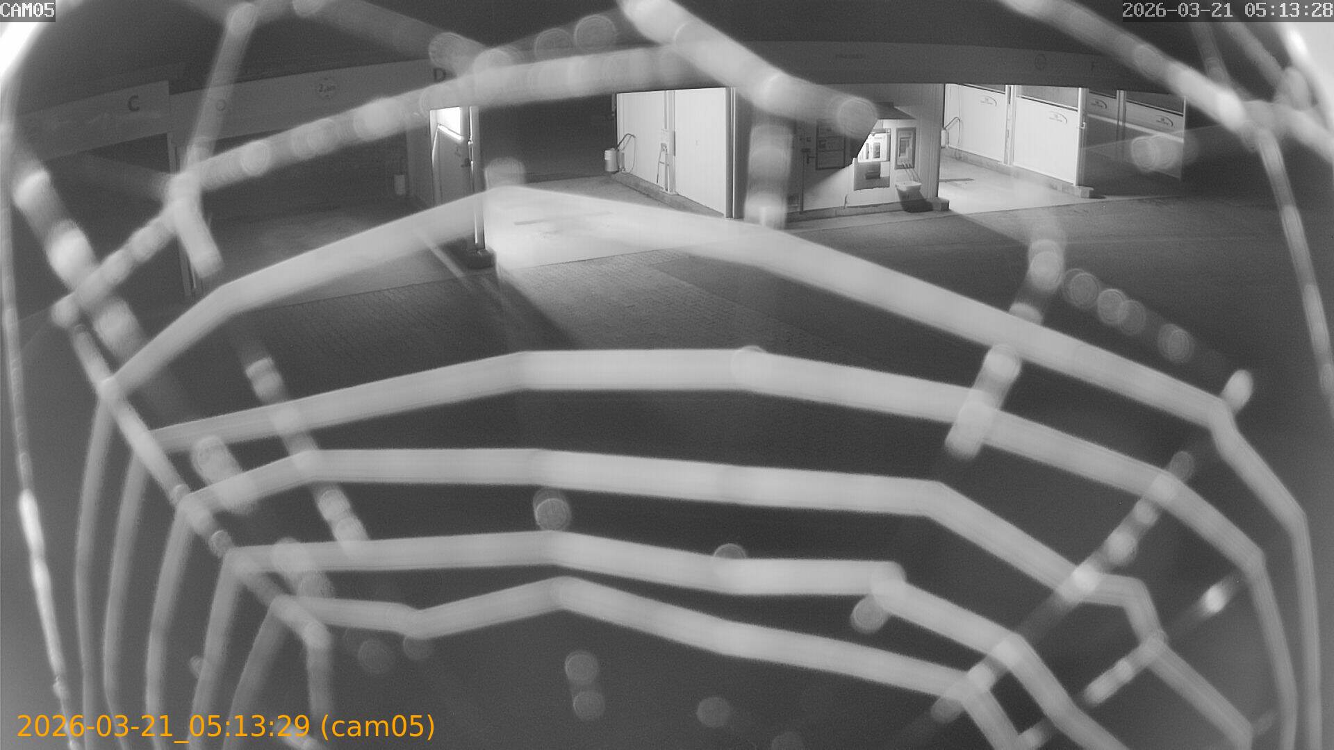 thumbnail_20260321051329