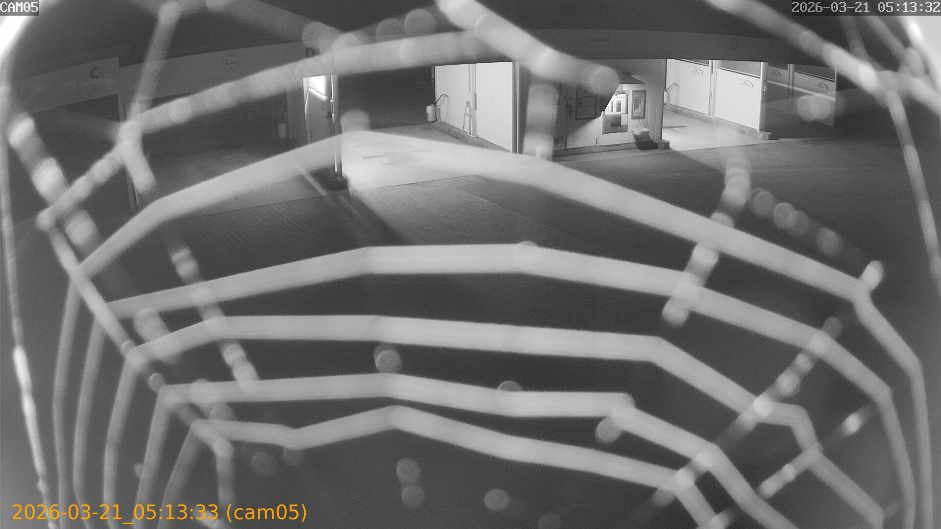 thumbnail_20260321051333