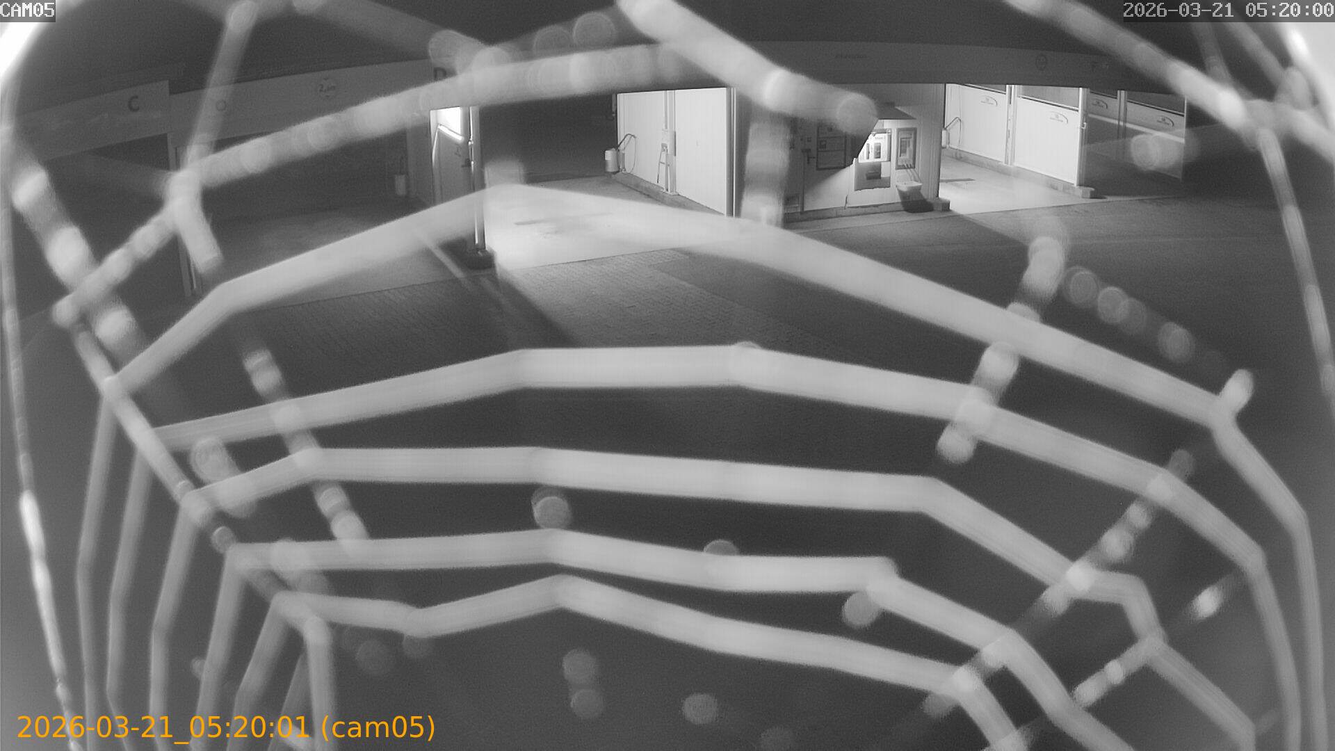 thumbnail_20260321052001