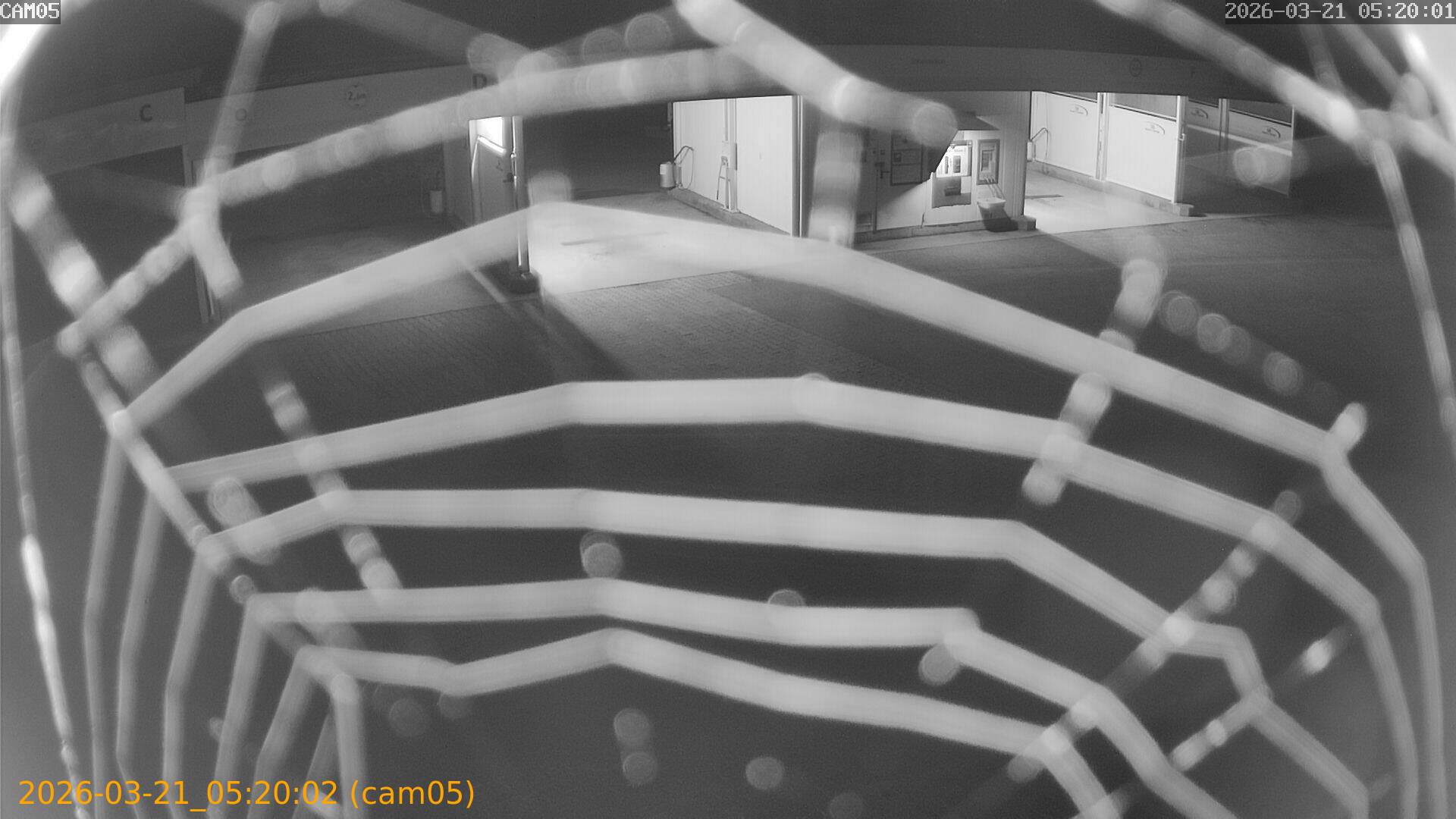 thumbnail_20260321052002