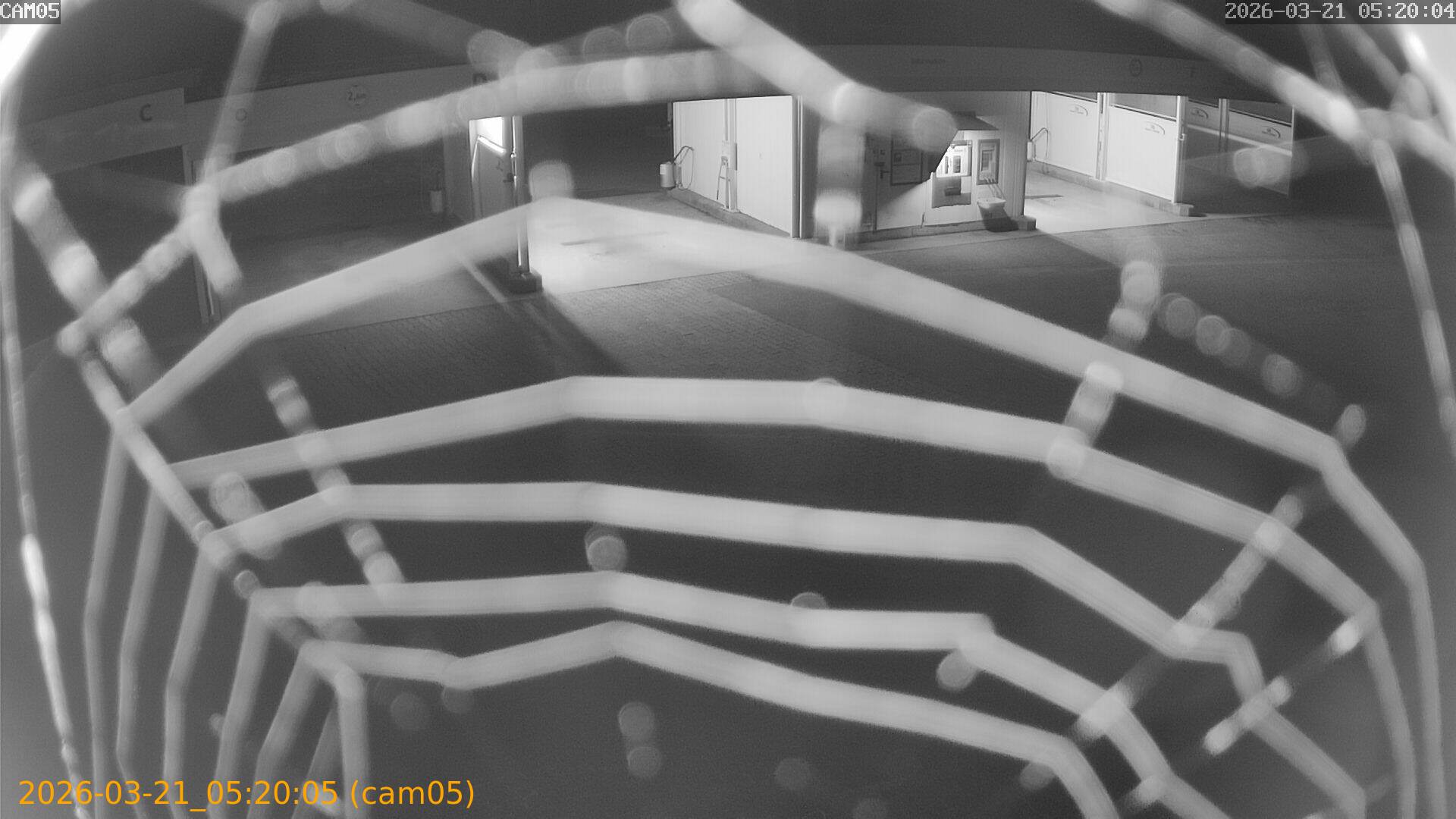 thumbnail_20260321052005