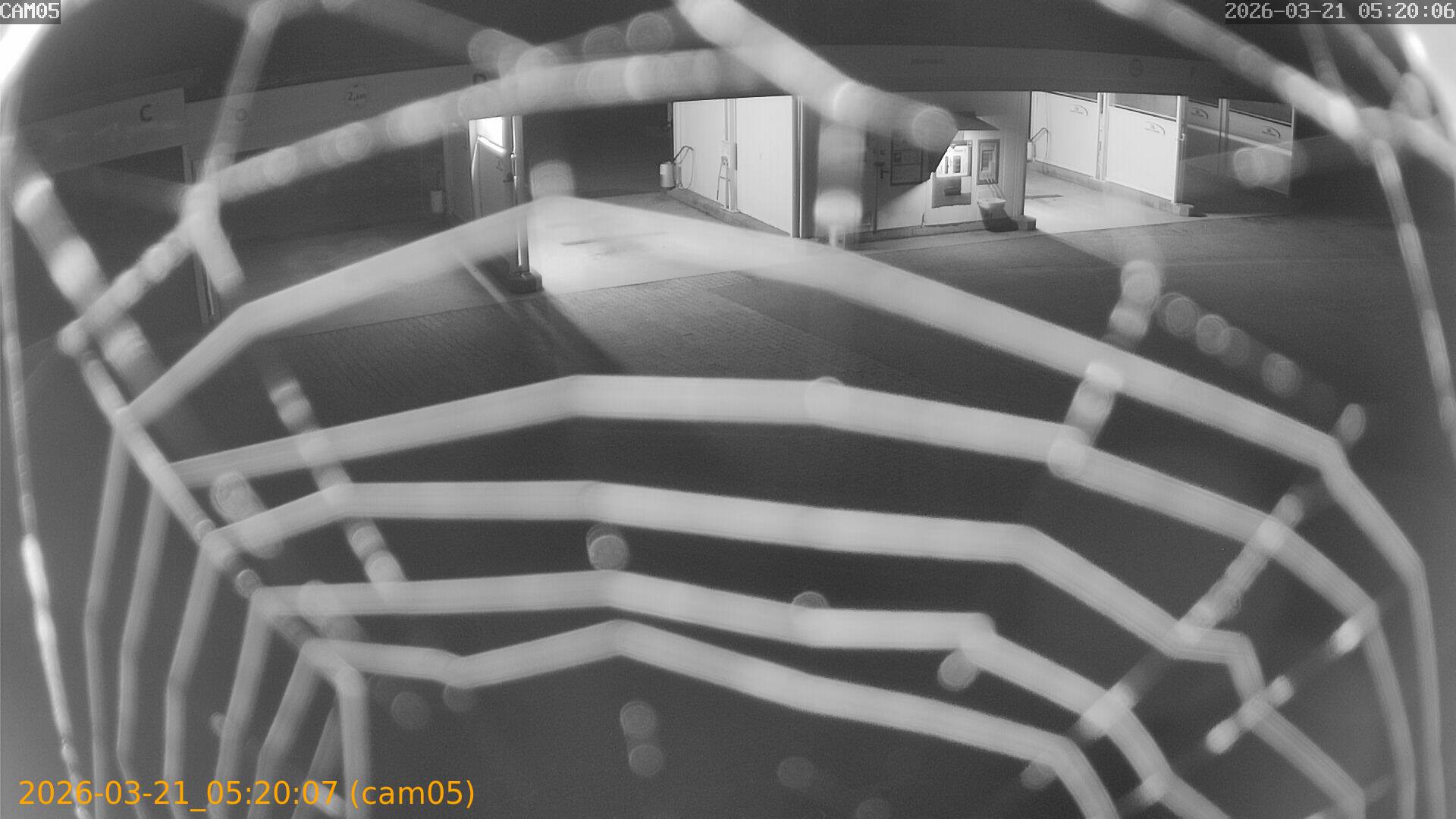 thumbnail_20260321052007